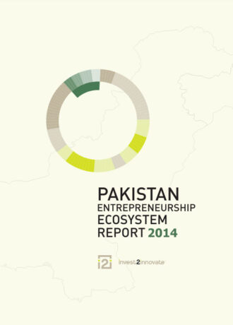 Pakistan-Entrepreneurship-2