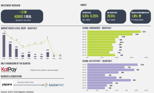 Q2 2024 Startup Ecosystem Pakistan - invest2innovate (i2i)